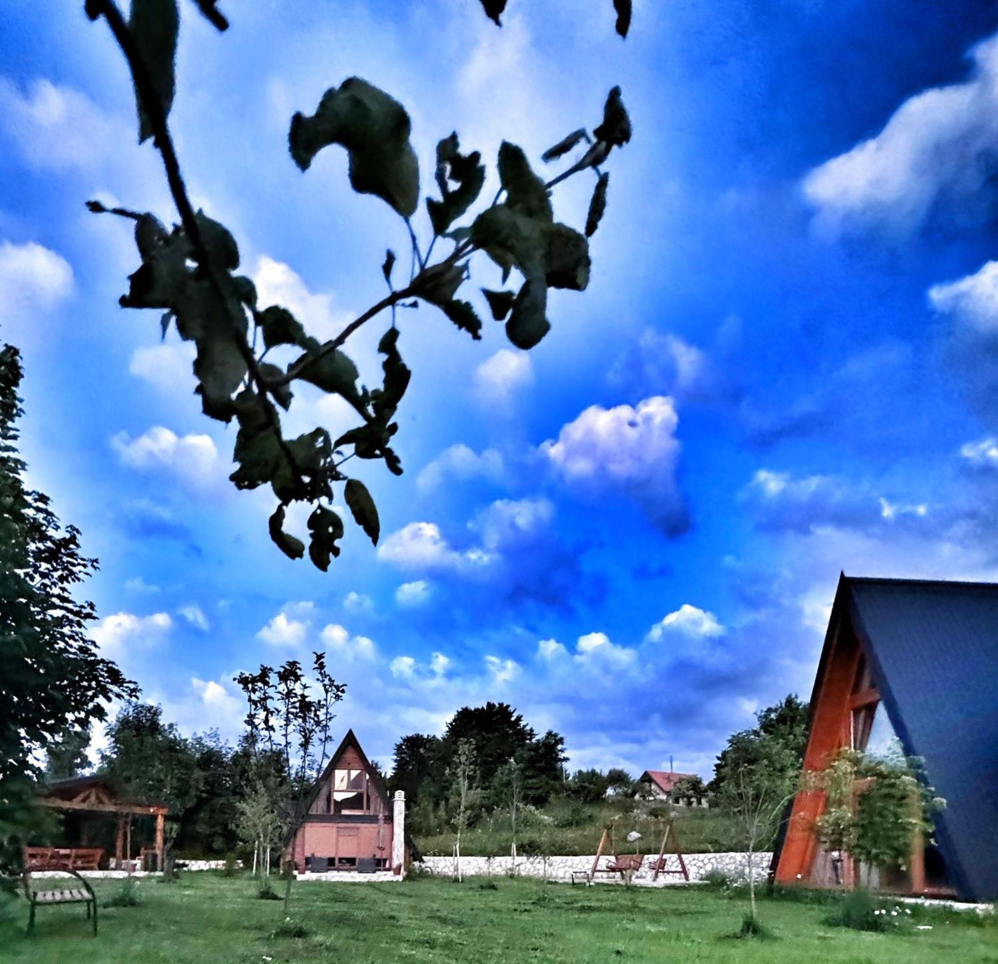 Villa Albero Casa Cetinje Exterior foto